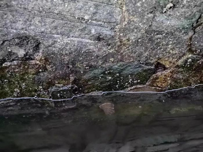 4688����÷��¼����(�й�)���޹�˾����