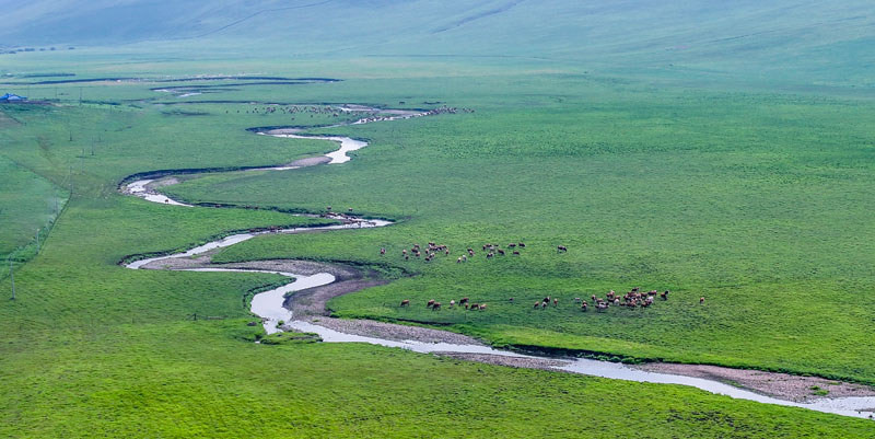 4688����÷��¼����(�й�)���޹�˾����